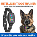Automatic Anti - Bark Dog Collar – Rechargeable Training Collar - GluxeHaus