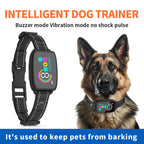 Automatic Anti - Bark Dog Collar – Rechargeable Training Collar - GluxeHaus
