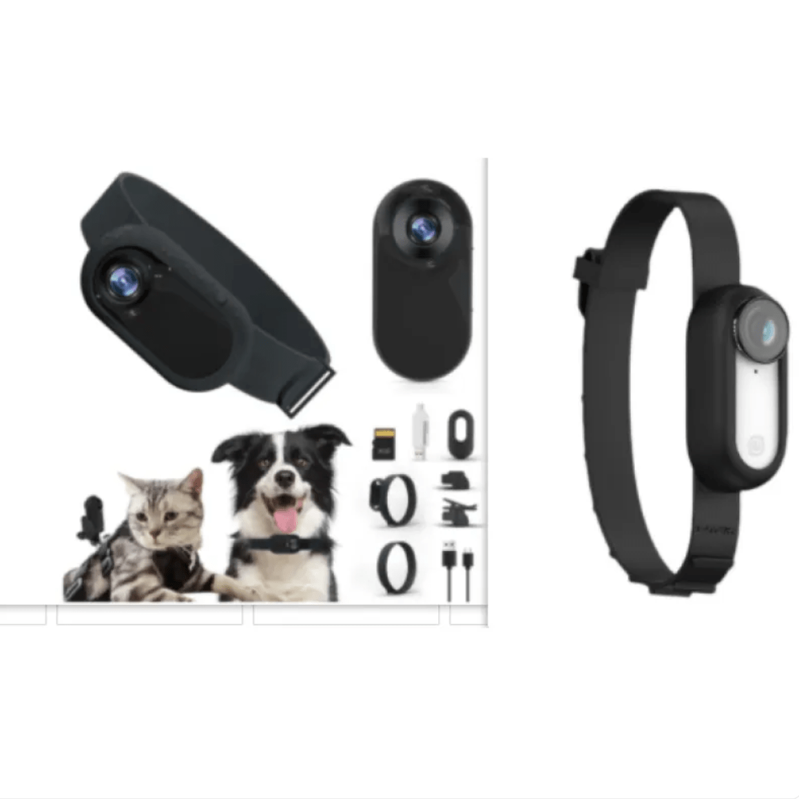 Pet Collar Camera - GluxeHaus
