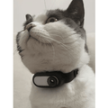 Pet Collar Camera - GluxeHaus