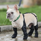 Waterproof Dog Boots – Adjustable Outdoor Paw Protectors - GluxeHaus