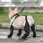 Waterproof Dog Boots – Adjustable Outdoor Paw Protectors - GluxeHaus