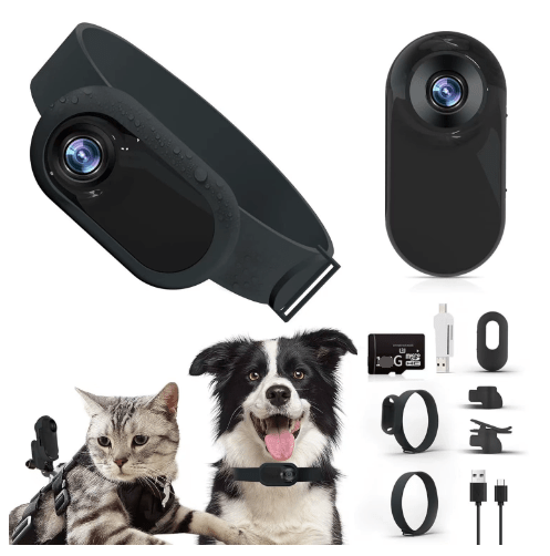 Pet Collar Camera - GluxeHaus