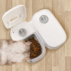 Automatic Pet Feeder – Smart Food Dispenser for Cats & Dogs - GluxeHaus