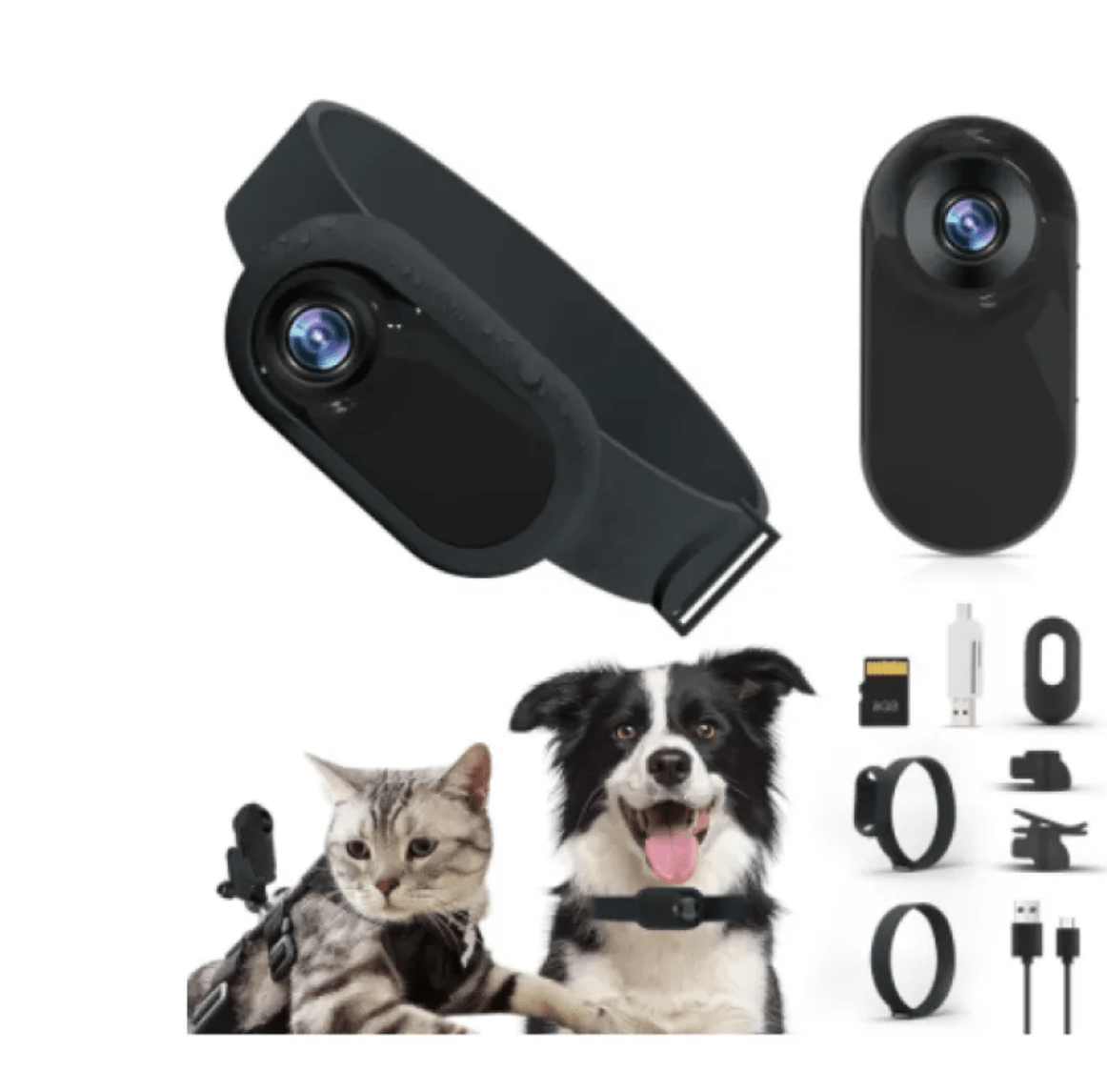 Pet Collar Camera - GluxeHaus