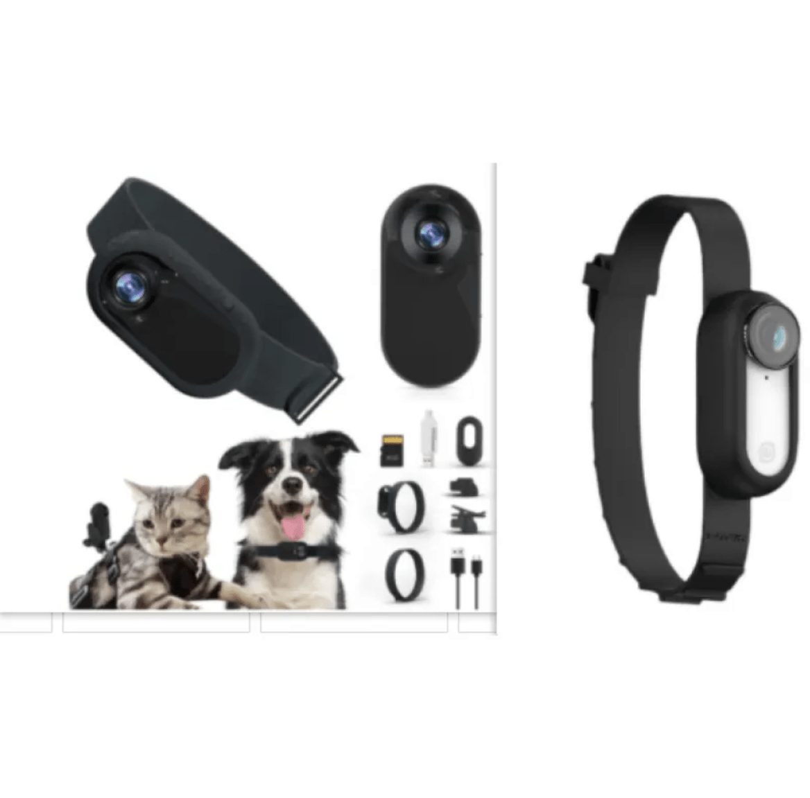 Pet Collar Camera - GluxeHaus