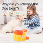 Smart Slow Feed Puzzle Feeder – Anti - Gulp Pet Toy & Treat Dispenser - GluxeHaus