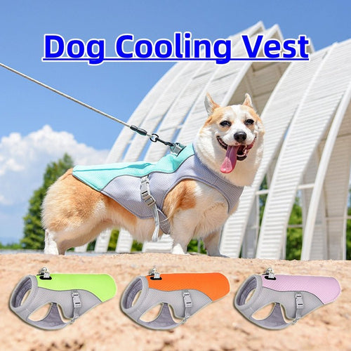 Cooling Pet Vest – Breathable Summer Heat Relief Clothing - GluxeHaus
