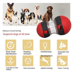 Interactive Pet Feeder Toy – Slow Feed Puzzle Dispenser - GluxeHaus