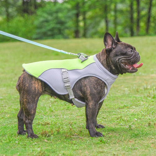Cooling Pet Vest – Breathable Summer Heat Relief Clothing - GluxeHaus