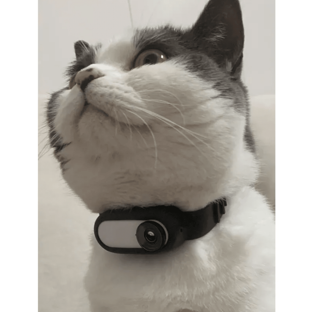 Pet Collar Camera - GluxeHaus