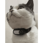 Pet Collar Camera - GluxeHaus