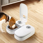 Automatic Pet Feeder – Smart Food Dispenser for Cats & Dogs - GluxeHaus